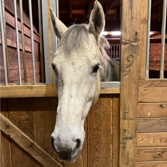 Meet your Posher, Jennifer - Picture 3 of 10